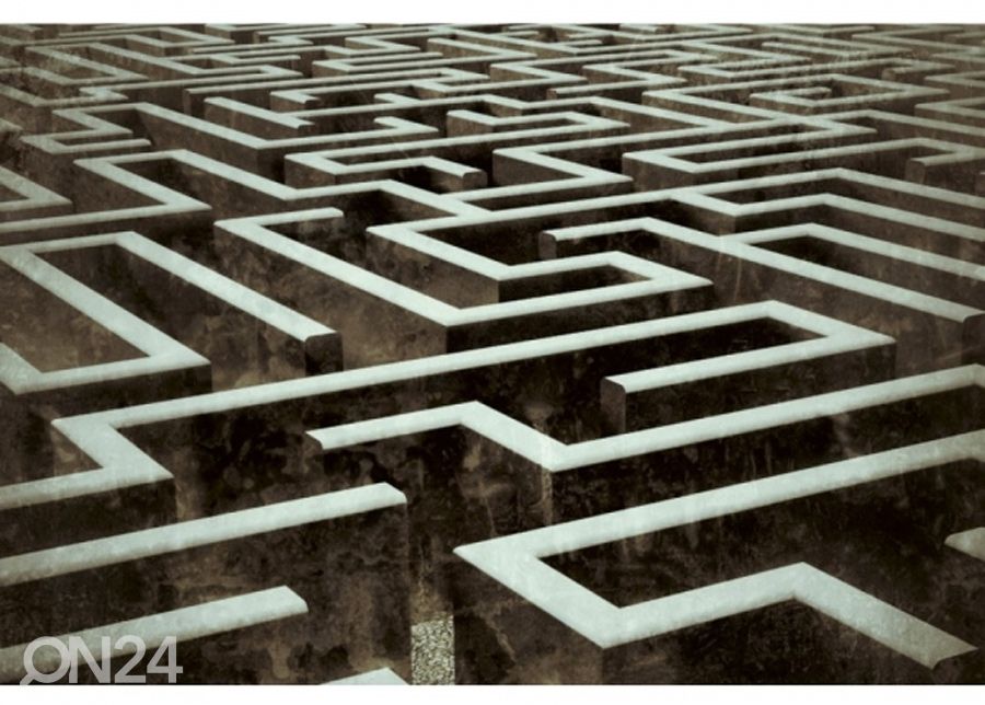 Non-woven kuvatapetti Labyrinth 150x250 cm kuvasuurennos