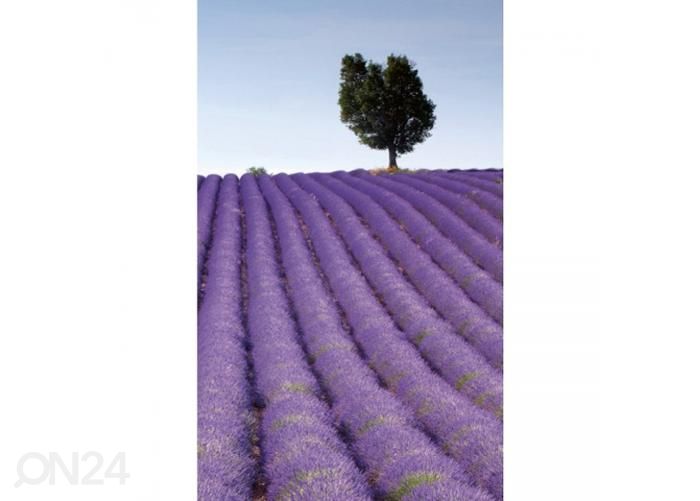 Non-woven kuvatapetti Lavender field 150x250 cm kuvasuurennos