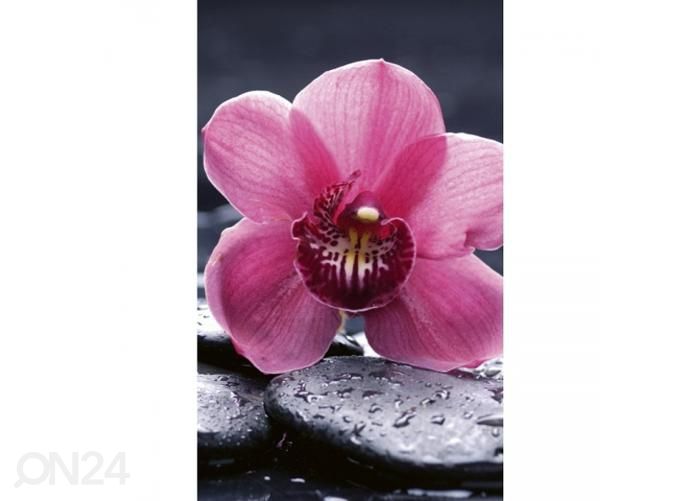 Non-woven kuvatapetti Orchid 150x250 cm kuvasuurennos