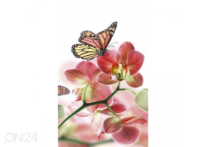 Non-woven kuvatapetti Orchids and butterfly 150x250 cm kuvasuurennos