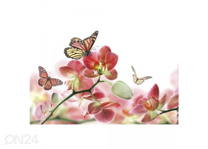 Non-woven kuvatapetti Orchids and butterfly 375x250 cm kuvasuurennos