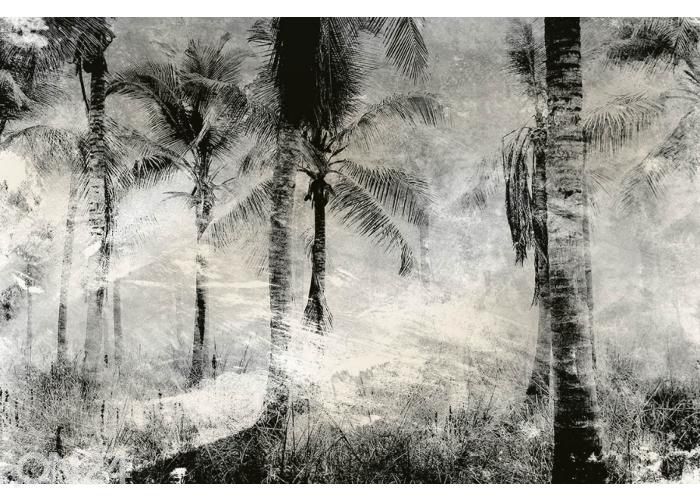 Non-woven kuvatapetti Palm Trees Abstract 225x250 cm kuvasuurennos