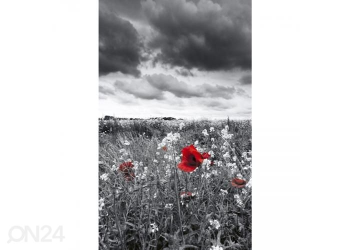 Non-woven kuvatapetti Poppies black 150x250 cm kuvasuurennos