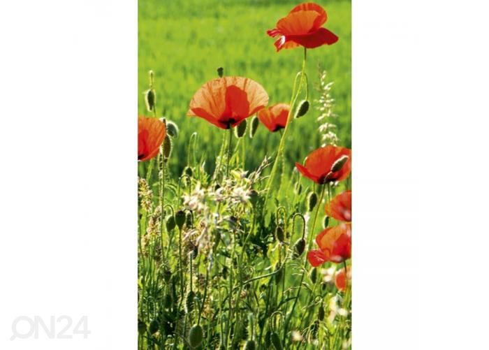 Non-woven kuvatapetti Poppy field 150x250 cm kuvasuurennos