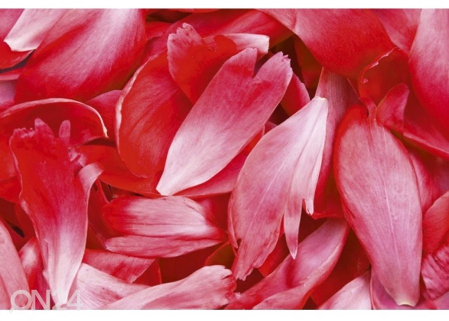 Non-woven kuvatapetti Red petals 150x250 cm kuvasuurennos