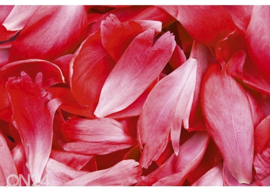 Non-woven kuvatapetti Red petals 225x250 cm kuvasuurennos