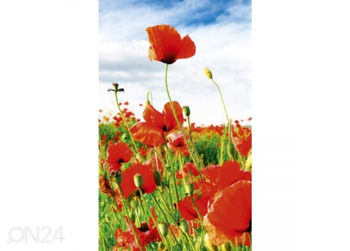 Non-woven kuvatapetti Red poppies 150x250 cm kuvasuurennos