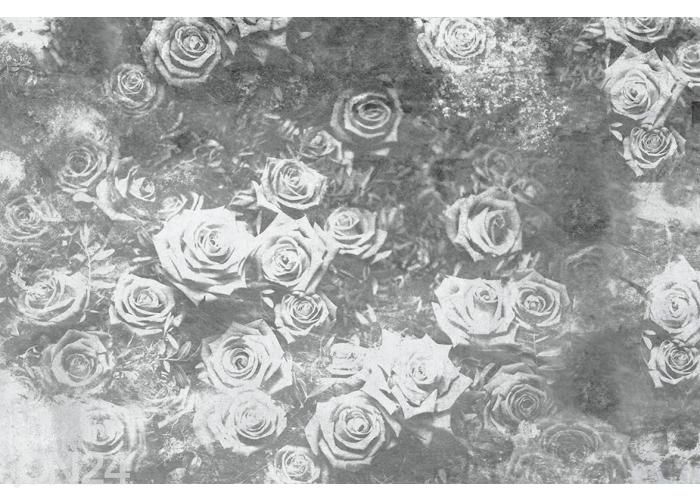 Non-woven kuvatapetti Roses Abstract II 150x250 cm kuvasuurennos