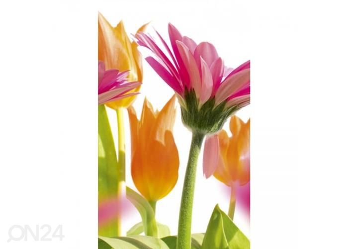 Non-woven kuvatapetti Spring flowers 150x250 cm kuvasuurennos