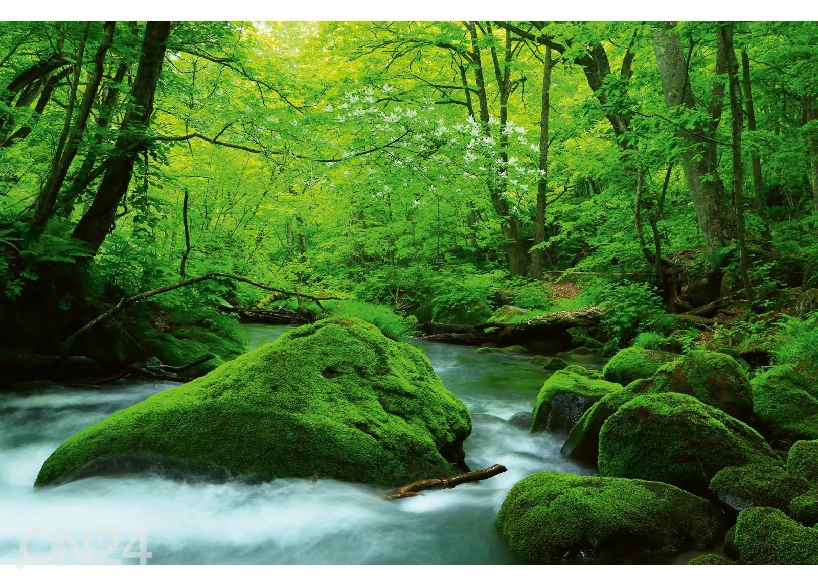 Non-woven kuvatapetti Stream In Japan kuvasuurennos