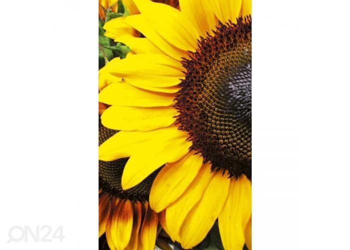 Non-woven kuvatapetti Sunflowers 150x250 cm kuvasuurennos