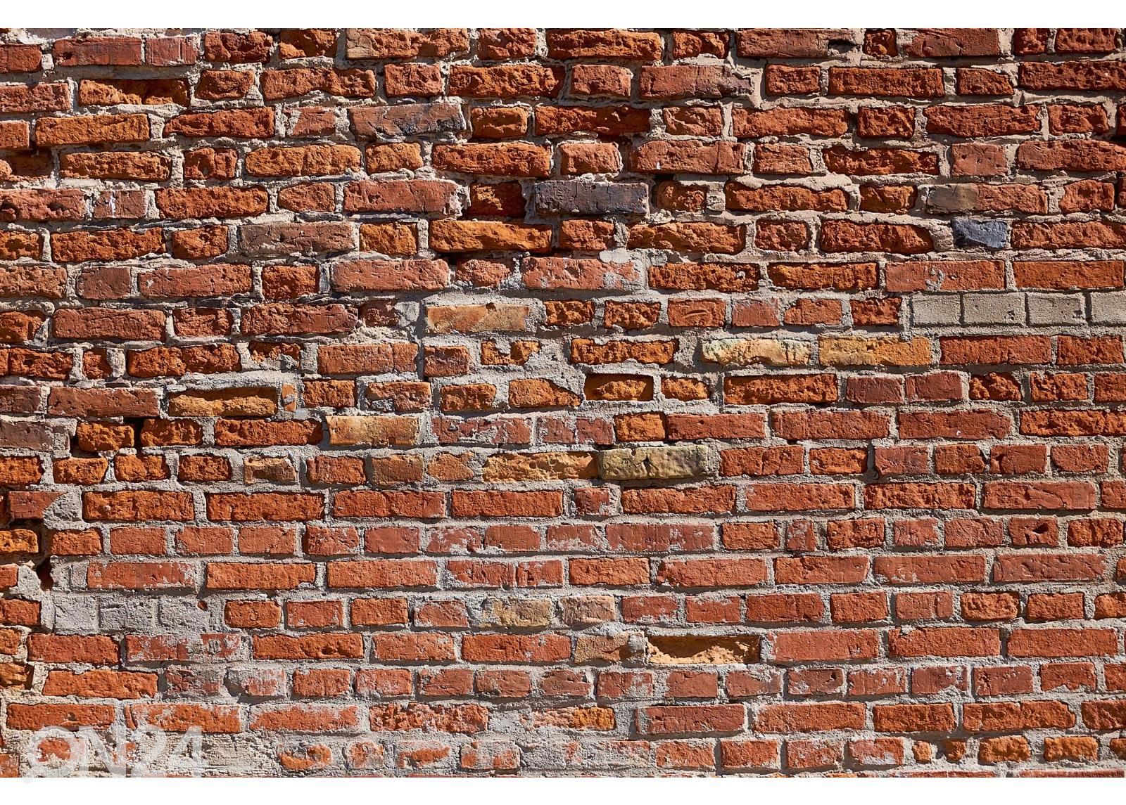 Non-woven kuvatapetti Texture Of An Old Brick Wall kuvasuurennos