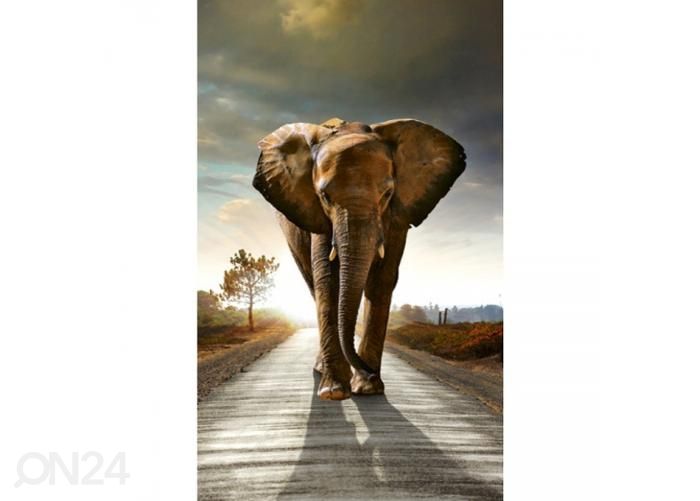 Non-woven kuvatapetti Walking elephant 150x250 cm kuvasuurennos