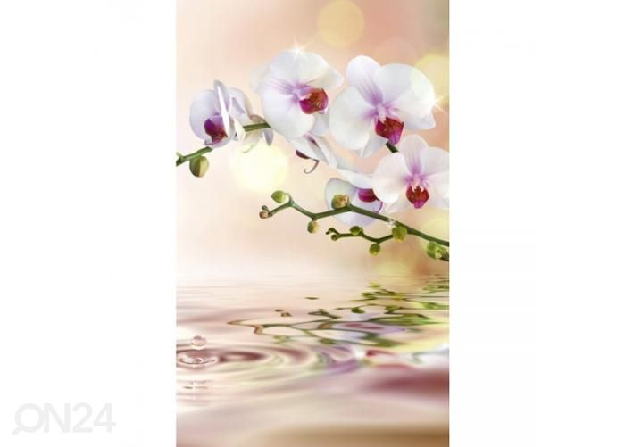 Non-woven kuvatapetti White orchid 150x250 cm kuvasuurennos