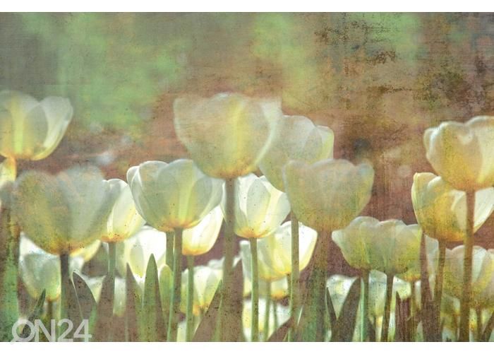 Non-woven kuvatapetti White Tulips Abstract 150x250 cm kuvasuurennos