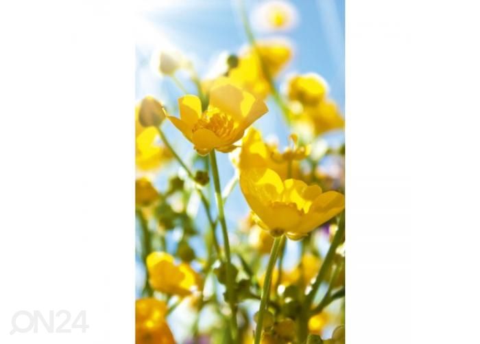 Non-woven kuvatapetti Yellow flowers 150x250 cm kuvasuurennos