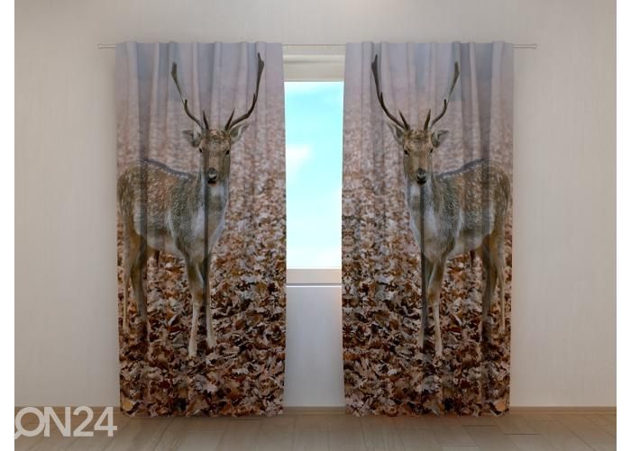 Puolipimentävä kuvaverho Young Deer in Autumn Forest 240x220 cm kuvasuurennos
