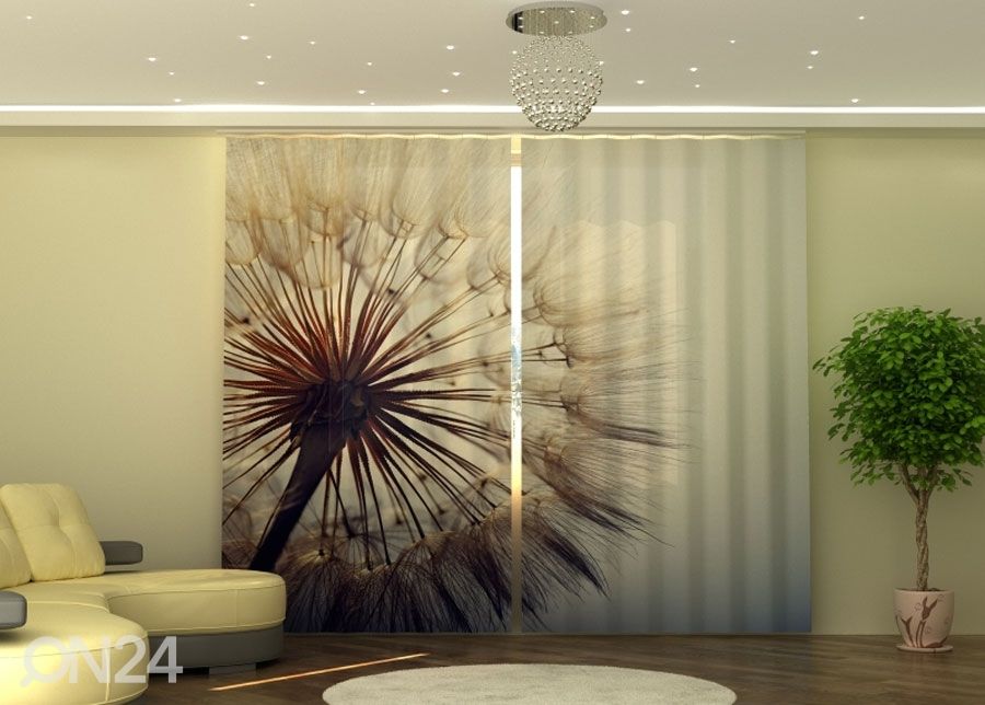 Puolipimentävä verho Amazing Dandelion 290x245 cm kuvasuurennos