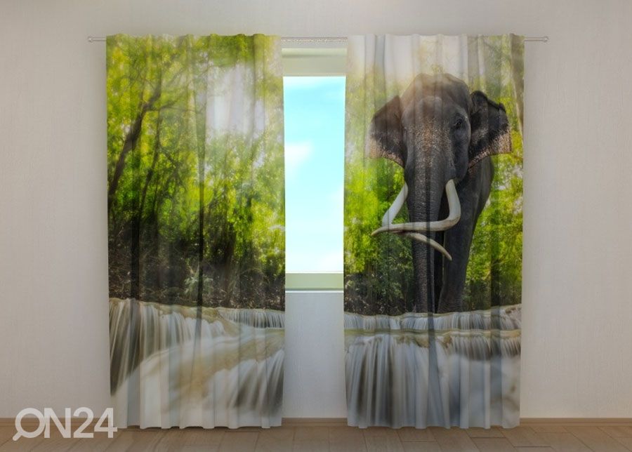 Puolipimentävä verho BIG ELEPHANT 240x220 cm kuvasuurennos