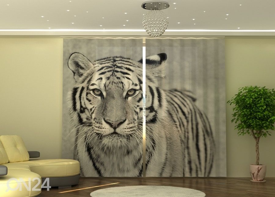 Puolipimentävä verho White Tiger 290x245 cm kuvasuurennos