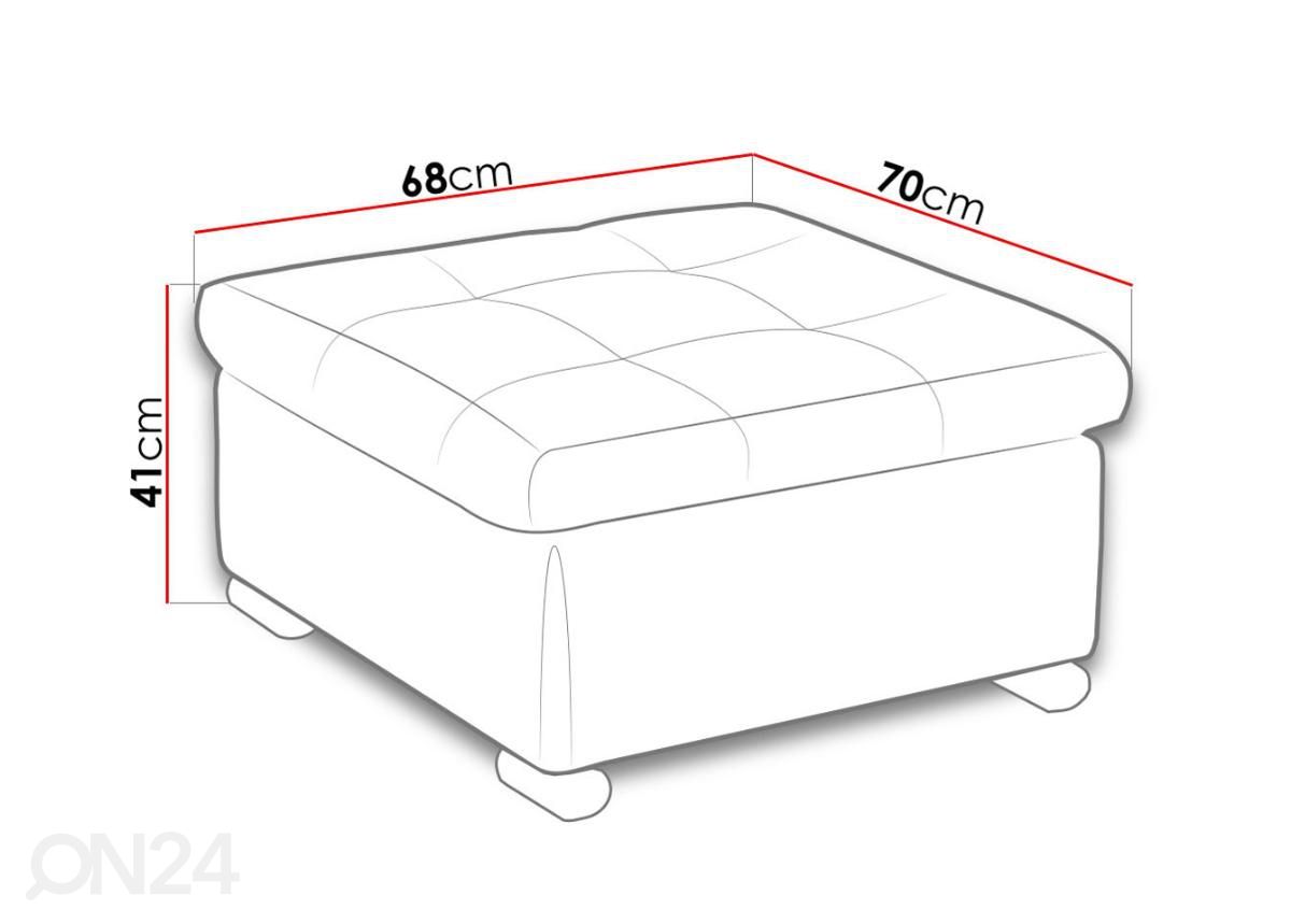 Rahi 70x68 cm kuvasuurennos mitat