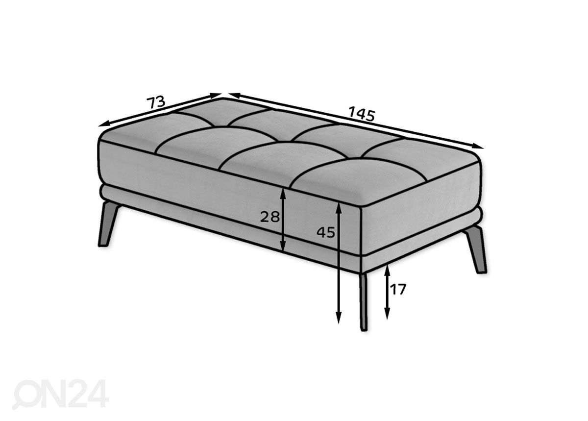 Rahi 73x145 cm kuvasuurennos mitat