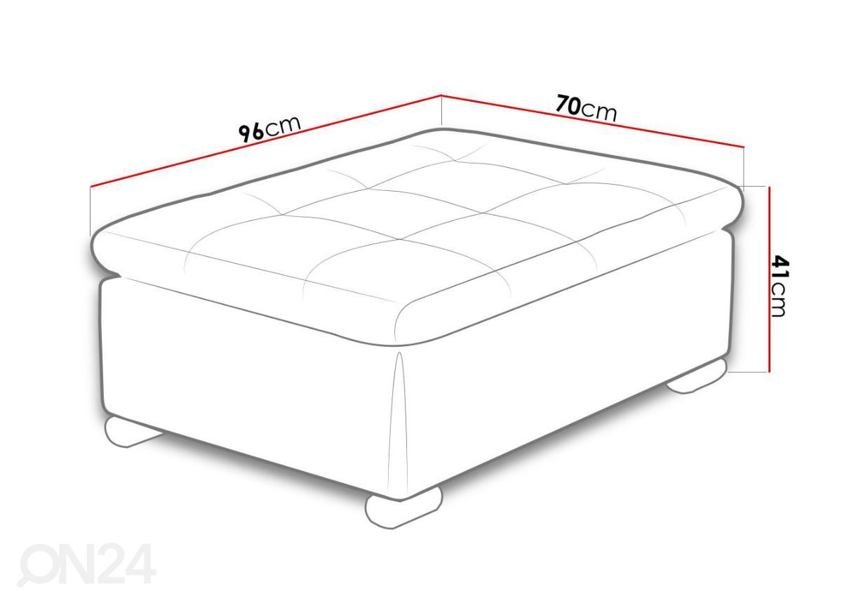 Rahi 96x70 cm kuvasuurennos mitat