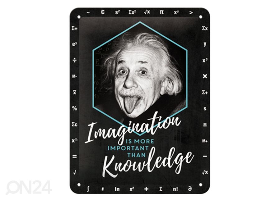 Retro metallitaulu Einstein - Imagination & Knowledge 15x20 cm kuvasuurennos