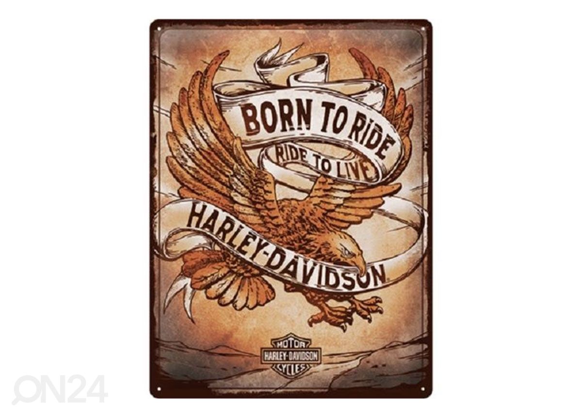 Retro metallitaulu Harley Davidson - Born to Ride Eagle 30x40 cm kuvasuurennos