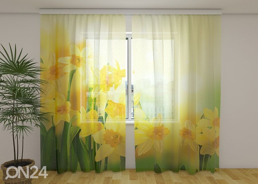 Sifonki-kuvaverho YELLOW DAFFODILS 2, 240x220 cm kuvasuurennos