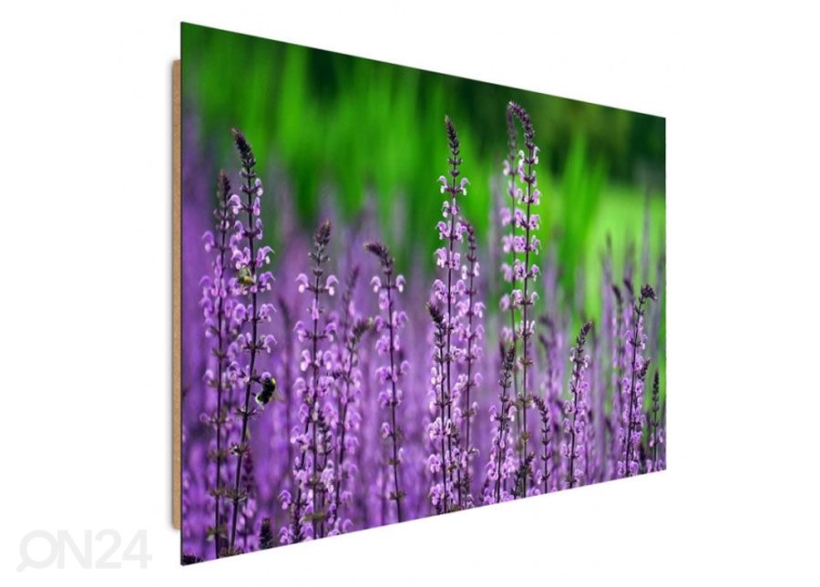 Taulu Blooming lavender 50x70 cm kuvasuurennos