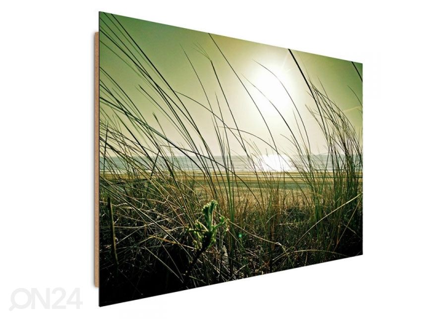 Taulu Coastal grass 30x40 cm kuvasuurennos