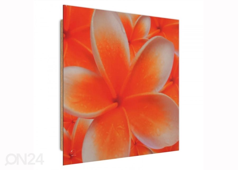 Taulu Frangipani flower 1 3D 30x30 cm kuvasuurennos