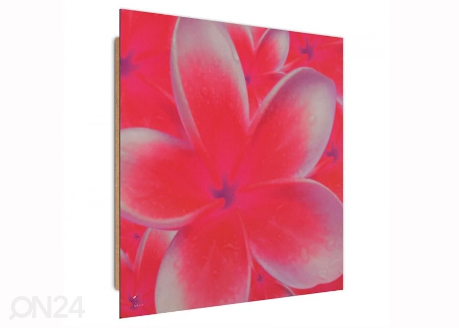 Taulu Frangipani flower 2 3D 30x30 cm kuvasuurennos