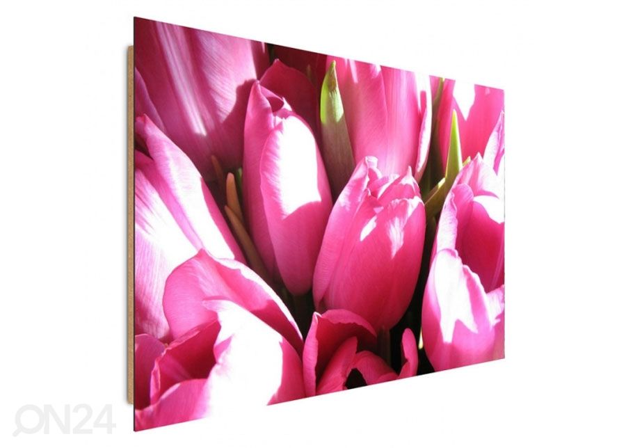 Taulu Pink tulips 30x40 cm kuvasuurennos