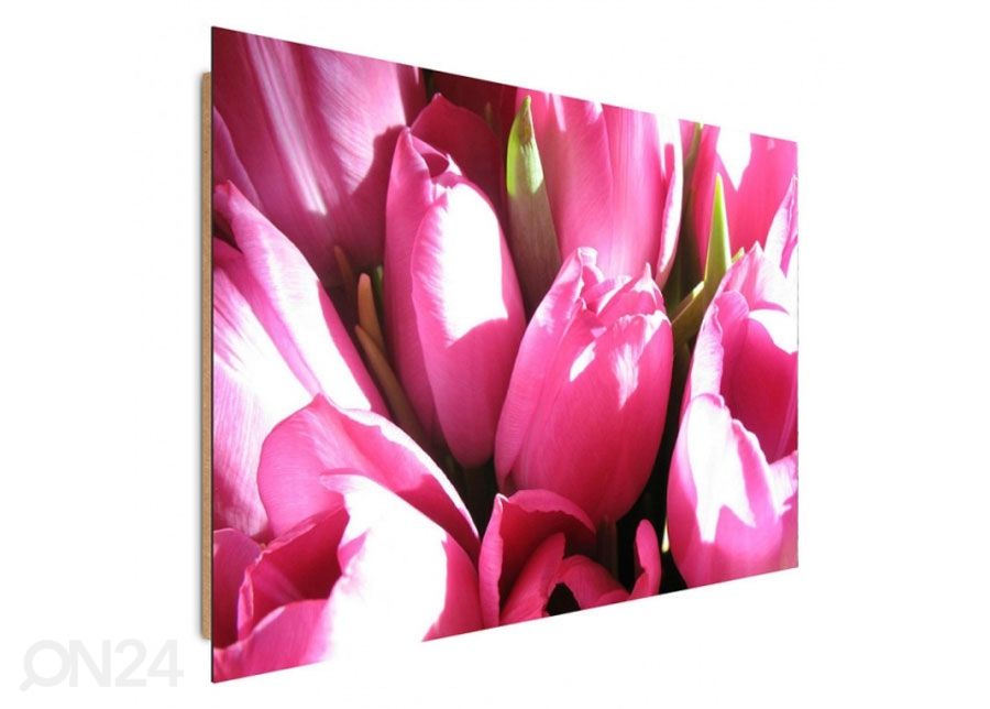 Taulu Pink tulips 40x50 cm kuvasuurennos