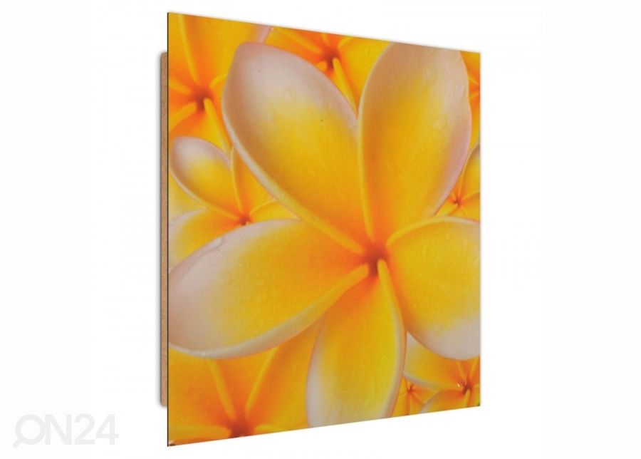 TauluFrangipani flower 3D 30x30 cm kuvasuurennos
