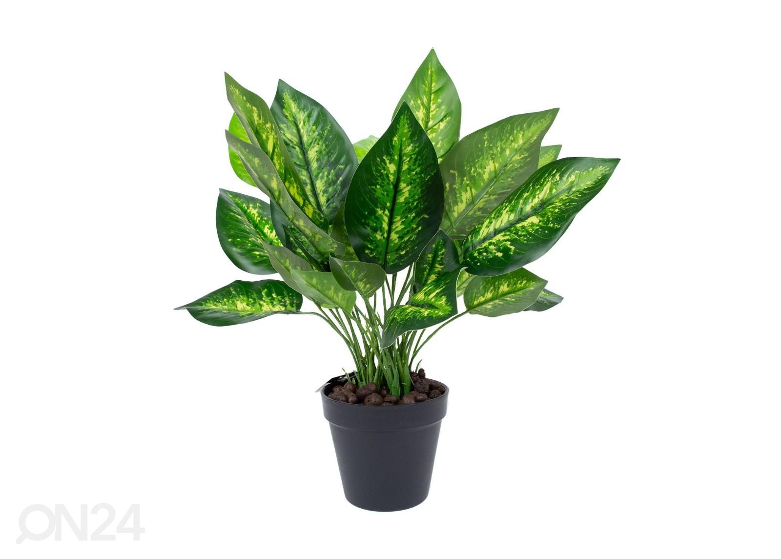 Tekokasvi Dieffenbachia 45 cm kuvasuurennos