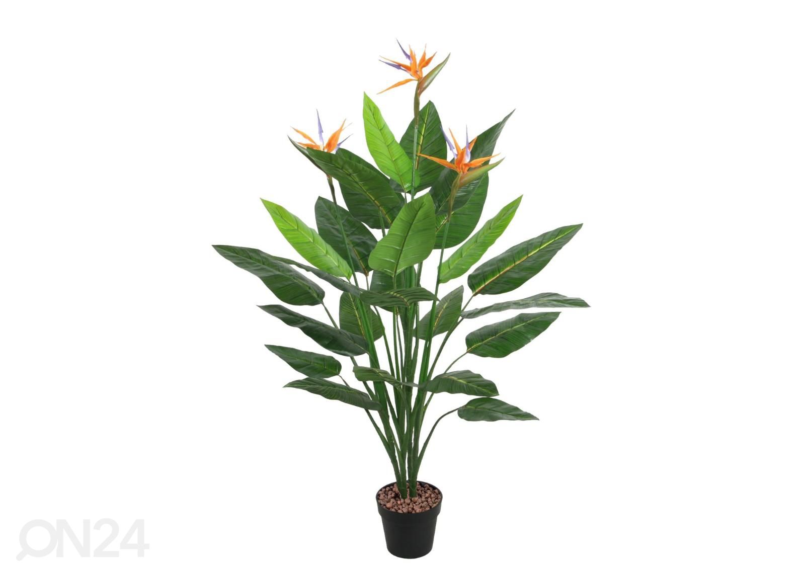 Tekopuu Bird of Paradise 150 cm kuvasuurennos