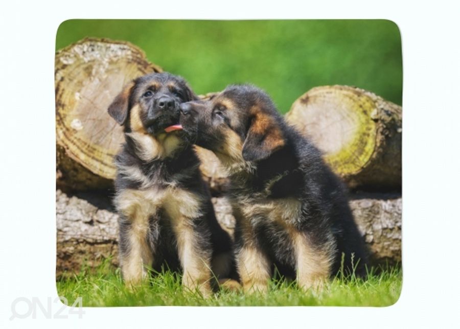 Torkkupeitto Cute German Shepherd Puppies 130x150 cm kuvasuurennos
