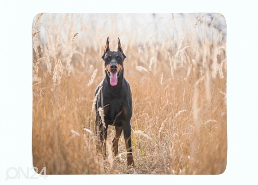 Torkkupeitto Doberman Pinscher in the Golden Grass 130x150 cm kuvasuurennos