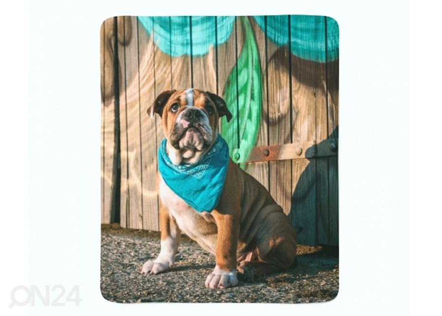 Torkkupeitto Stylish English Bulldog Puppy 130x150 cm kuvasuurennos