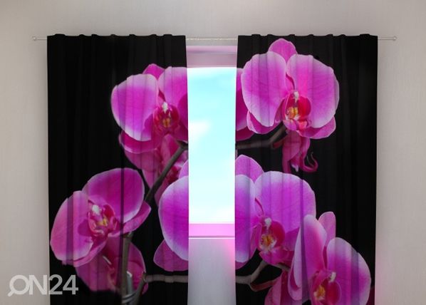 Pimennysverhot Orchid twig 240x220 cm