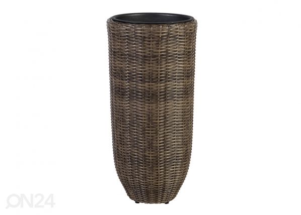 Suojaruukku WICKER Ø37xh77 cm