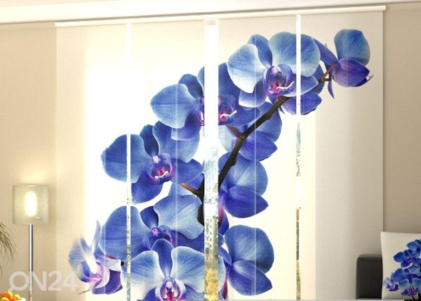 Läpinäkyvä paneeliverho Blue Orchids 240x240 cm