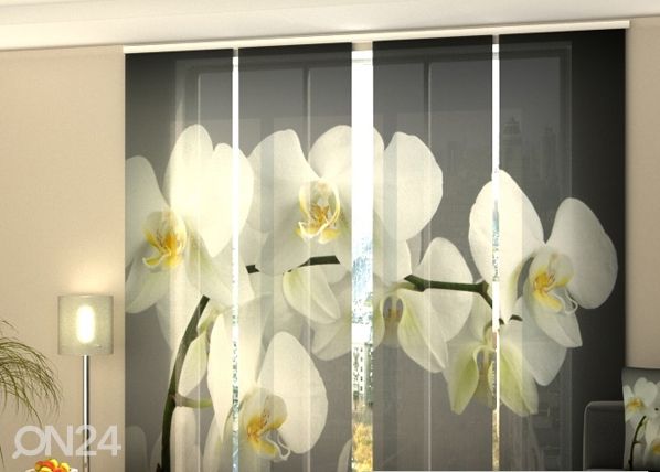Läpinäkyvä paneeliverho Song Orchids 240x240 cm