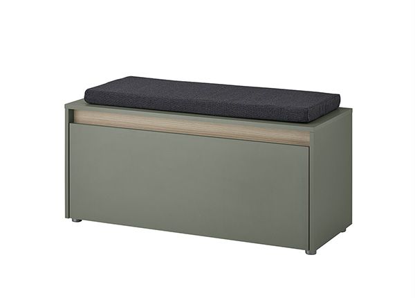 Eteispenkki istuintyynyllä City