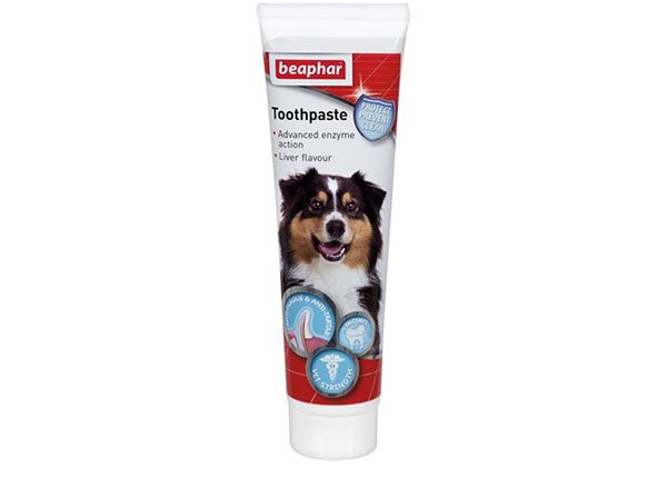 Hammastahna Maksanmakuinen Beaphar Toothpaste Liver 100 g