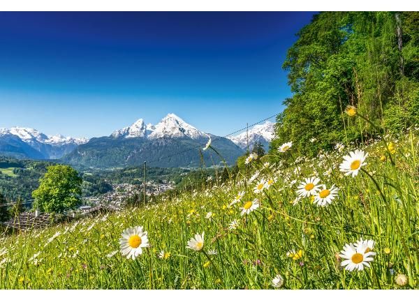 Itseliimautuva kuvatapetti Alpine Landscape