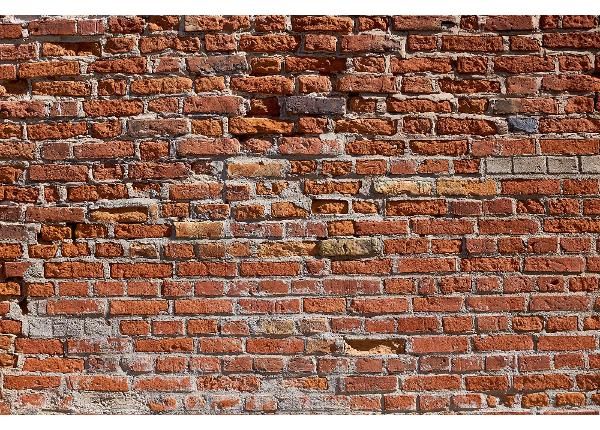 Itseliimautuva kuvatapetti Texture Of An Old Brick Wall